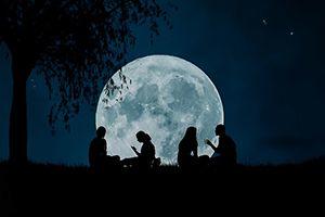 Participar en la Hora del Planeta